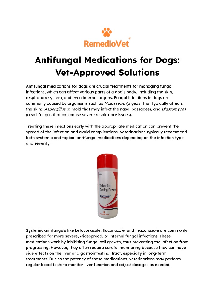 antifungal medications for dogs vet approved