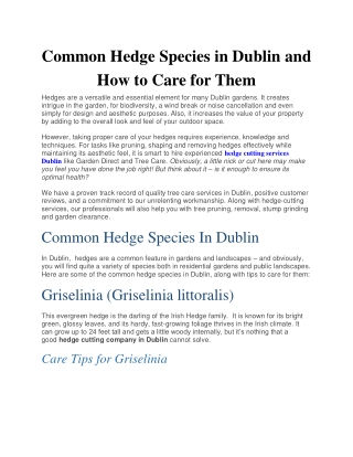 Common Hedge Species in Dublin and How to Care for Them