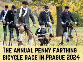 Riding high: The annual penny farthing bicycle race in Prague