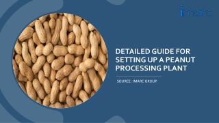 detailed guide for setting up a peanut processing