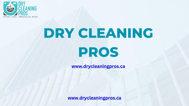 dry cleaning pros