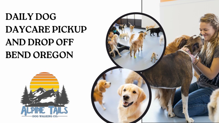 daily dog daycare pickup and drop off bend oregon