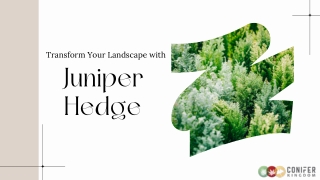 transform your landscape with