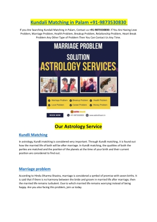 kundali matching in palam 91 9873530830