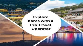 Explore Korea with a Pro Travel Operator