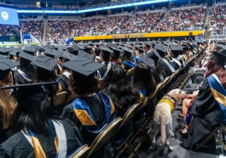 Buy British Degree Online With Worldwide Verification1