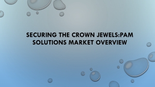 securing the crown jewels pam solutions market overview