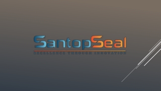 SantopSeal Nov 2024