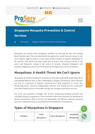 Effective Mosquito Prevention Solutions for a Pest-Free Singapore