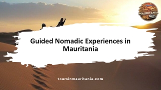 guided nomadic experiences in mauritania