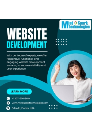 Offshore Web Application Developmentin Orlando, Florida, USA - Mindspark Technol