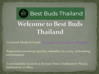 Welcome to Best Buds Thailand