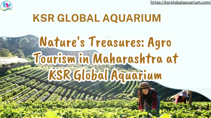 https ksrglobalaquarium com