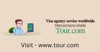 Your Visa to Korea, Japan, USA, and Canada is Just a Click Away