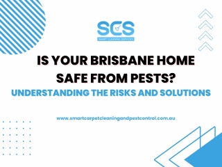 Is Your Brisbane Home Safe from Pests Understanding the Risks and Solutions