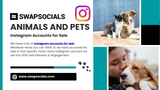 Discover: Pets & Animal Instagram Accounts on SwapSocials