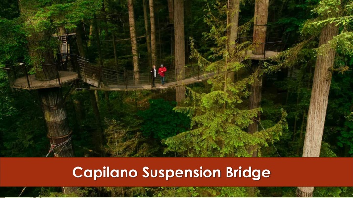 capilano suspension bridge