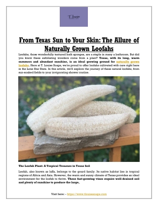 From Texas Sun to Your Skin: The Allure of Naturally Grown Loofahs