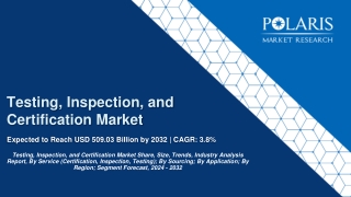 Testing, Inspection, and Certification Market
