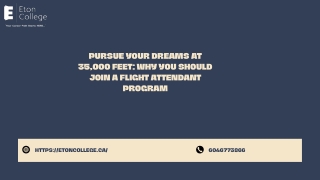 Pursue Your Dreams at 35,000 Feet Why You Should Join