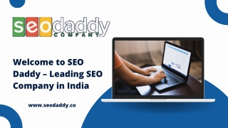 Welcome to SEO Daddy – Leading SEO Company in India