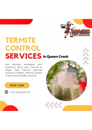 Ant Extermination at Magic Pest Control in Gilbert, Queen Creek, and Chandler, A