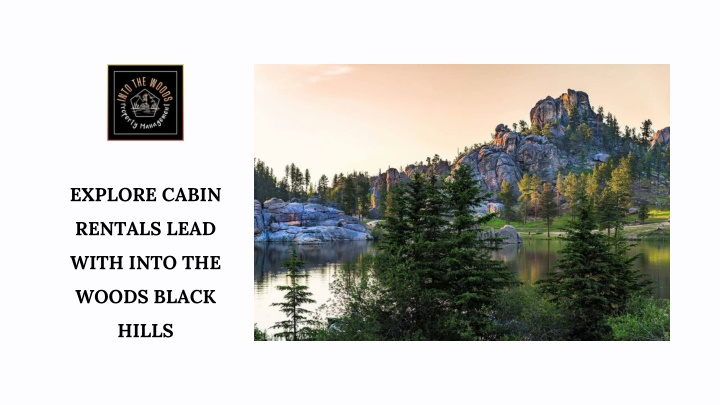 explore cabin rentals lead with into the woods