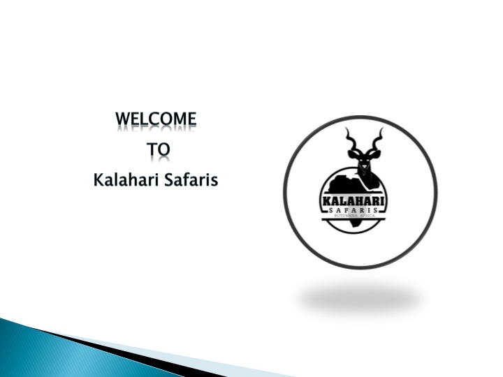 welcome to kalahari safaris