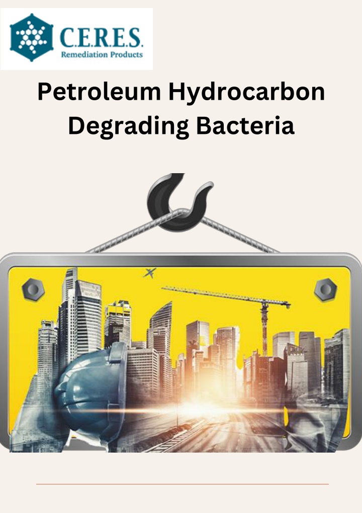 petroleum hydrocarbon degrading bacteria