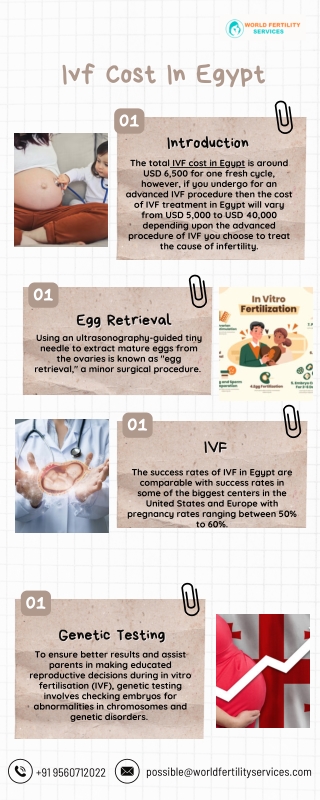ivf cost in egypt ivf cost in egypt