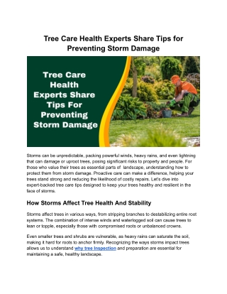 Tree Care Health Experts Share Tips for Preventing Storm Damage