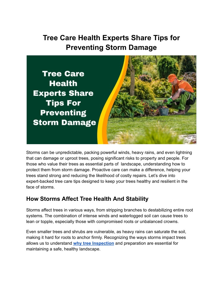 tree care health experts share tips