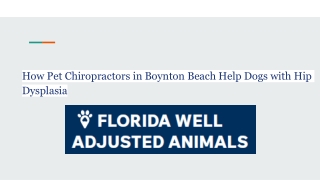 How Pet Chiropractors in Boynton Beach Help Dogs with Hip Dysplasia