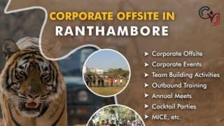 Best Resorts for Corporate Outing in Ranthambore