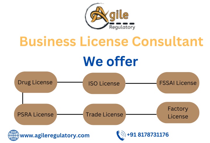 business license consultant we offer