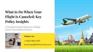 What to Do When Your Flight Is Canceled Key Policy Insights