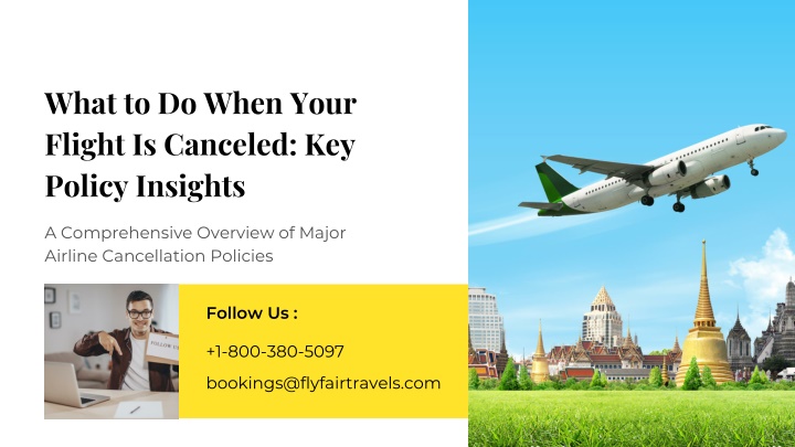 what to do when your flight is canceled