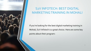 Best Digital Marketing Training in Mohali