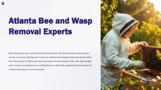 Comprehensive Carpenter Bee Removal Services