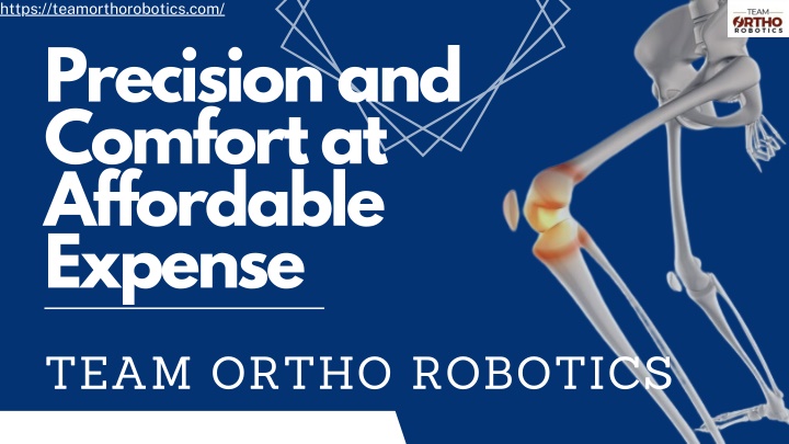 https teamorthorobotics com