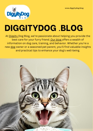 Diggity Dog | Expert Dog Training and Pet Care