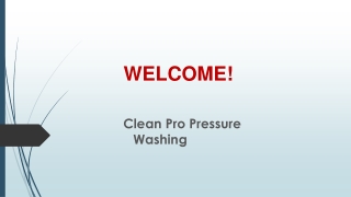 The Best service for Roof Pressure Cleaning in Dudley Park