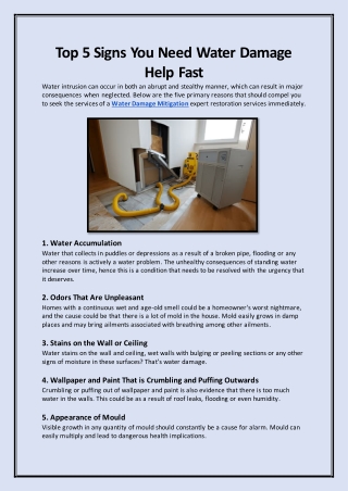 Top 5 Signs You Need Water Damage Help Fast