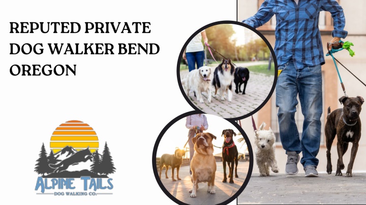 reputed private dog walker bend oregon