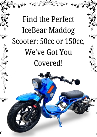 Find the Perfect IceBear Maddog Scooter 50cc or 150cc, We've Got You Covered!