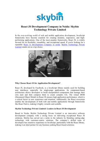 Premier React JS Development Company in Noida | Skybin