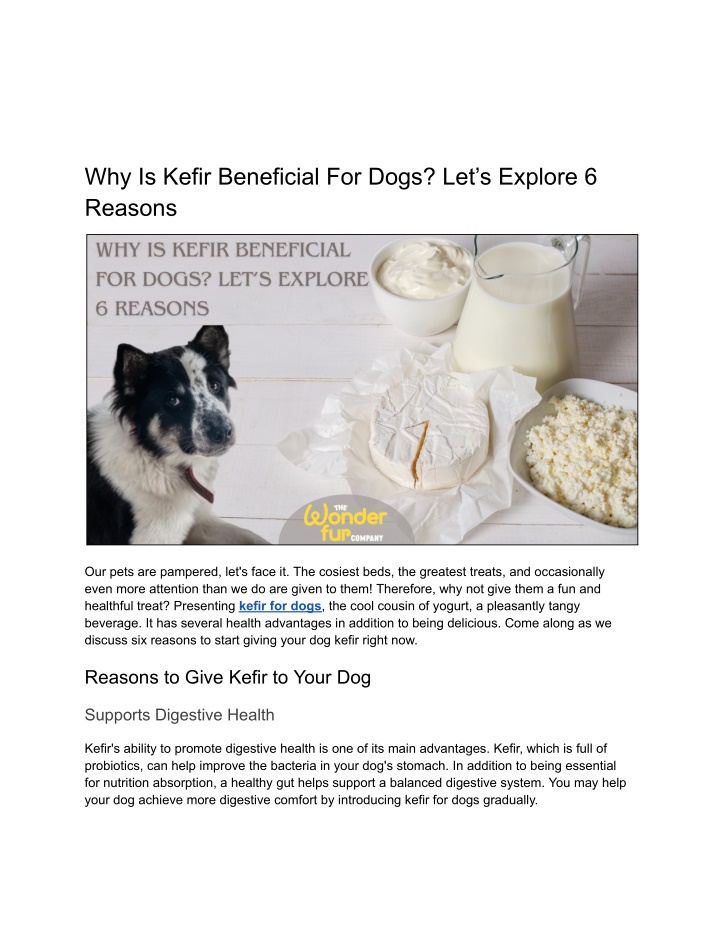 why is kefir beneficial for dogs let s explore