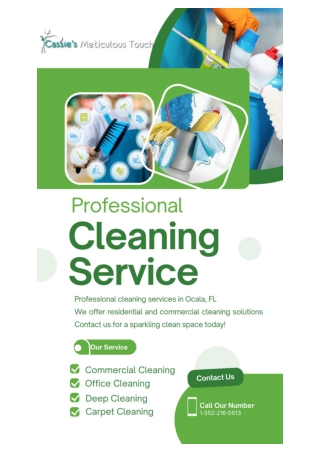 Professional Cleaning services