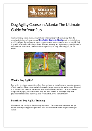 Dog Agility Course in Atlanta The Ultimate Guide for Your Pup