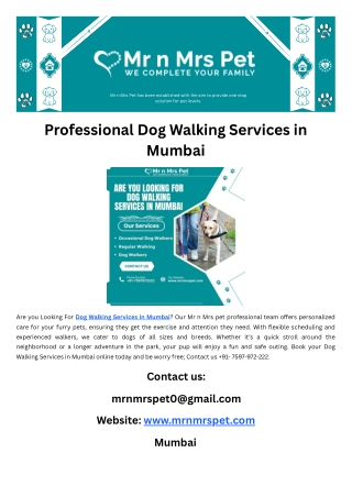 Professional Dog Walking Services in Mumbai